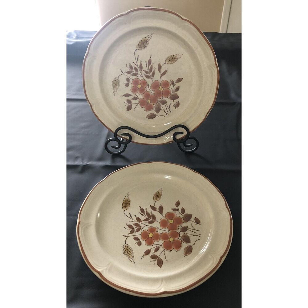 Intl. China Co. Country Cousins Stoneware "Monique" 2 Dinner & 2 Dessert Plates